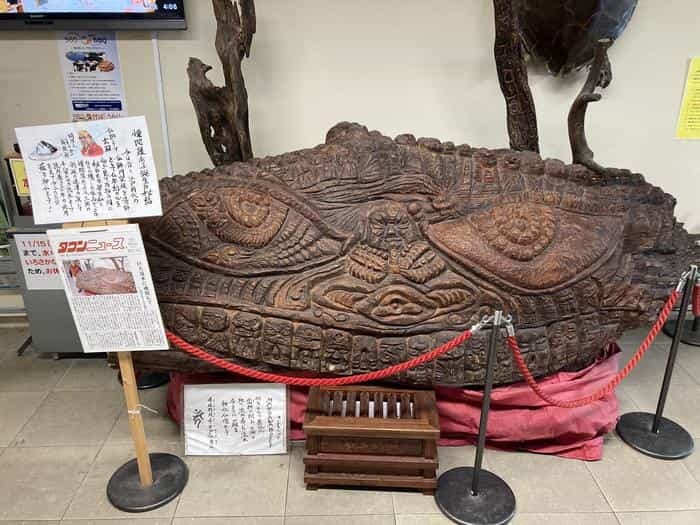 【神奈川県三浦半島食い倒れ旅】三崎グルメといえば・・・やっぱマグロでしょ！