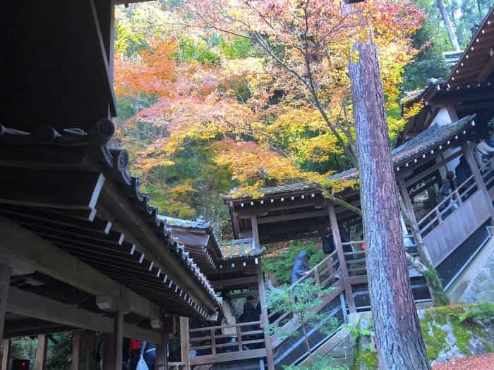 紅葉に食べられそう...秋の京都「南禅寺」と「永観堂」は素晴らしかった！