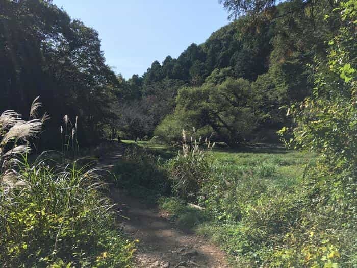 【埼玉県】飯能ハイキング・初心者向けコース（天覧山・多峯主山）