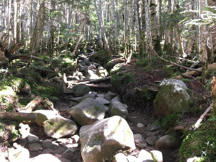 北八ヶ岳の「天狗岳」に初めて登ってきました。