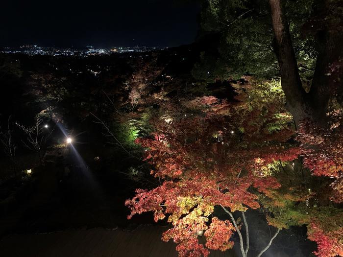 【竈門(かまど)神社】大ブーム中！『鬼滅の刃』福岡県ゆかりの地？へ