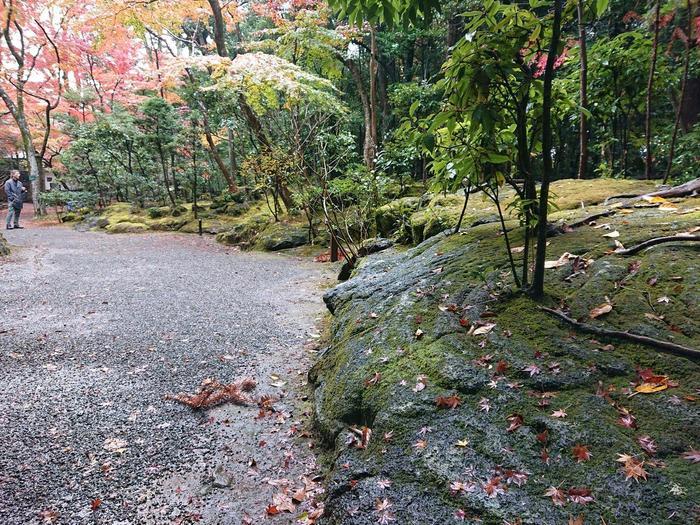 【静岡県】箱根西麓三島野菜を富士山を望む絶景の中で食べてきた