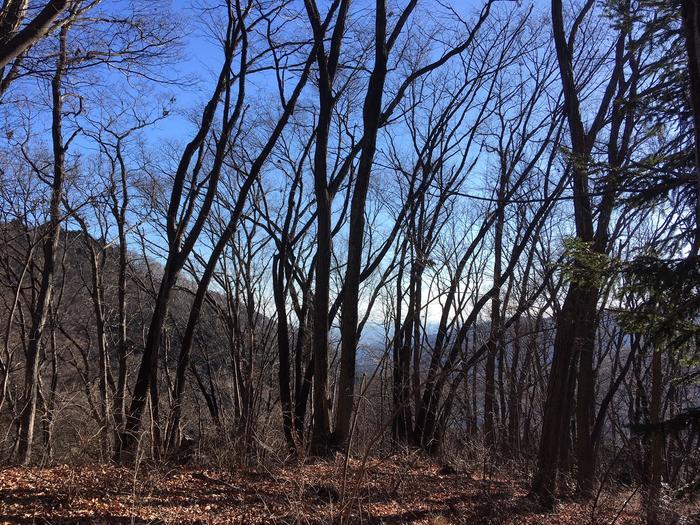 【山登り道】冬山にはなぜ魅力があるのか？＜景信山～城山～高尾山編＞