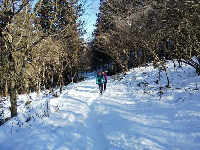 【お花見登山】桜満開のお伊勢山から岩殿山を縦走する日帰り山旅