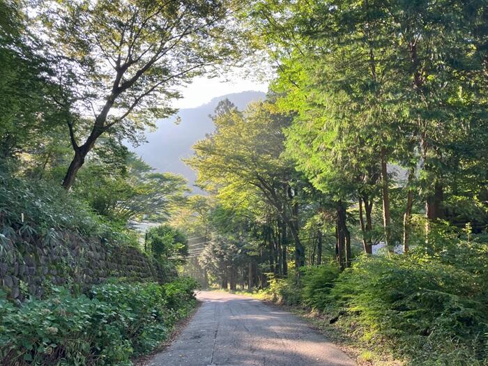 【群馬】温泉総選挙 女子旅部門一位の四万温泉！「湯の宿　山ばと」で私が感じたこととは・・・？