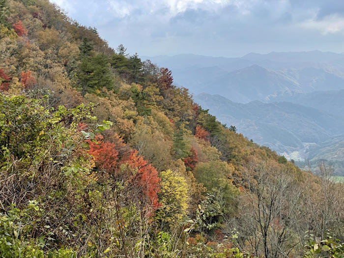 【島根】石見富士「三瓶山」のカルデラを大縦走！