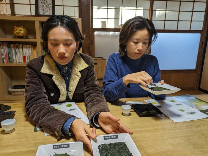 【静岡県】玉露の里、藤枝でお茶尽くしの1日を過ごしてきました