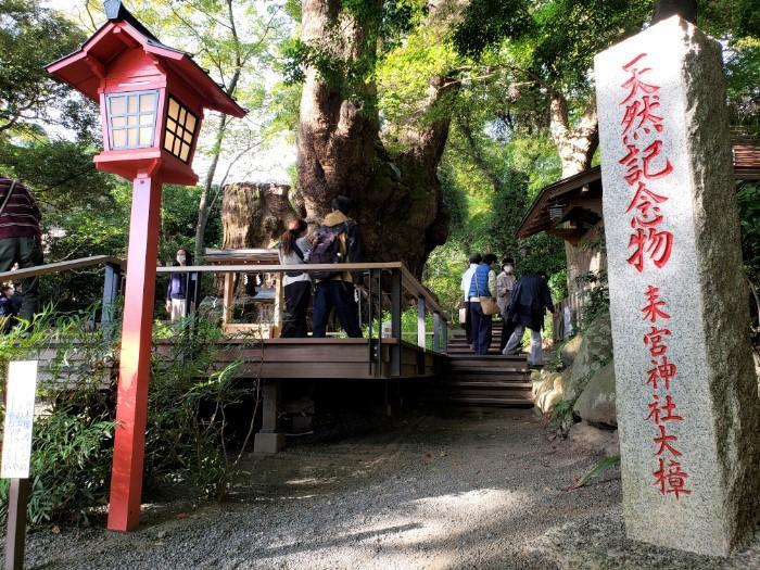 【静岡・熱海】日本屈指のパワースポット・来宮神社。「寿命が延びる」御神木は樹齢2100年