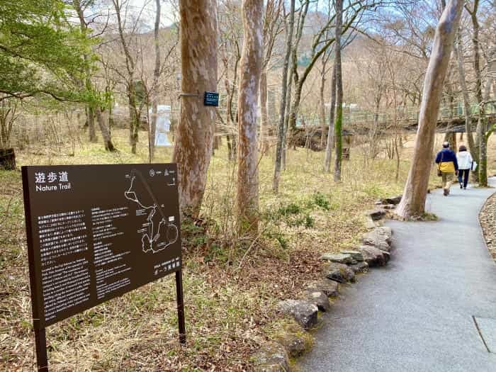 【2022年】神奈川県でアートを堪能、「箱根」へ！