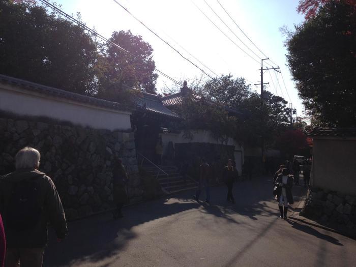 京都　東福寺の紅葉は、やはり圧倒的に美しかった。