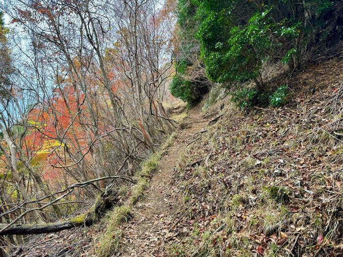 【日本百名山】27座目の祖母山は道迷いに注意が必要（大分県・宮崎県）