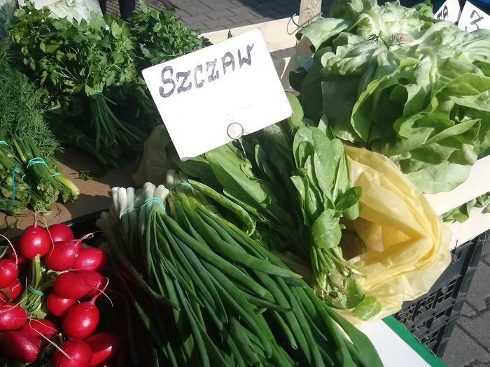 海外の野菜!ポーランドで見つけた珍しい野菜5選