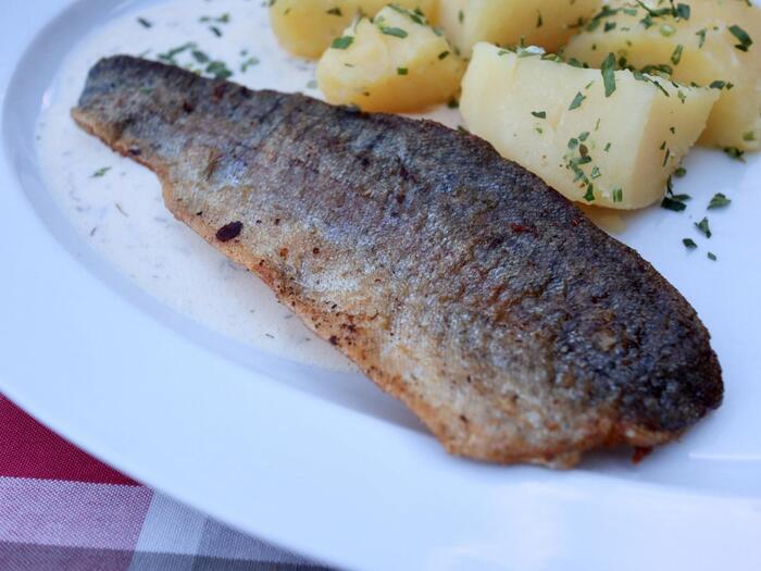 オーストリア料理はどんなもの? 現地食レポ付きで解説!