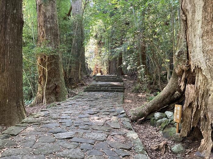 和歌山県を旅するなら、レール＆レンタカーがおすすめ！ 美しい海岸線と雄大な風景を満喫してきました。