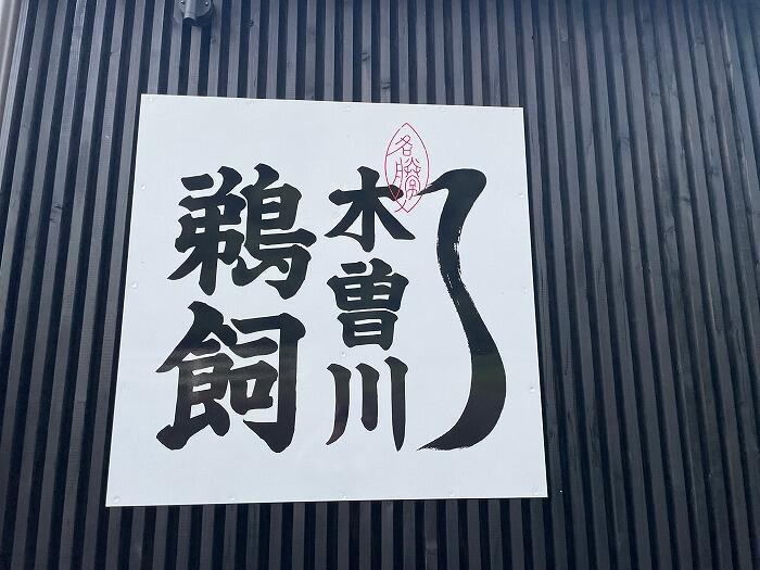 【愛知】1300年の伝統漁法、木曽川で鵜飼遊覧を体験しよう