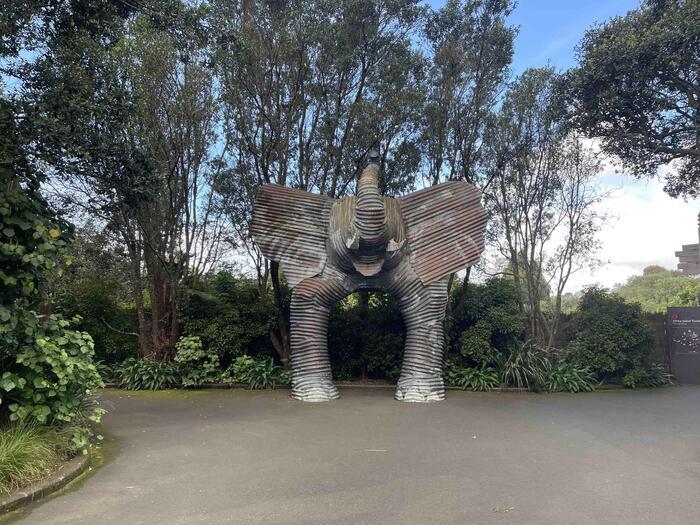 【ニュージーランド】国鳥キウイに会える！オークランド動物園の魅力