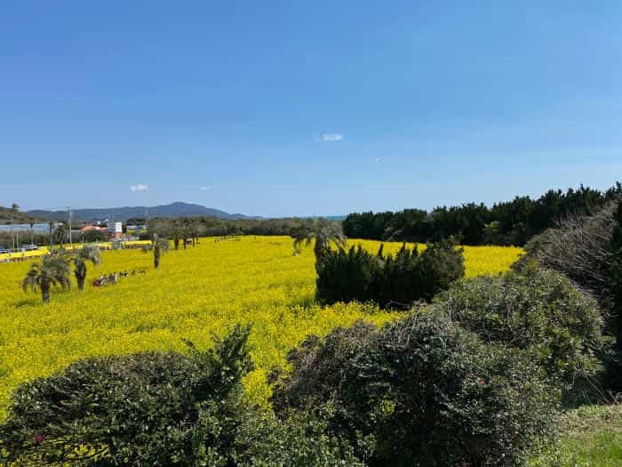 【愛知県】知る人ぞ知る四季の折々のお花見スポットをご紹介