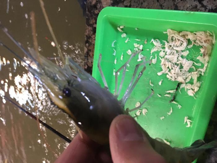 【台北】深夜の迷宮「えび釣り場」は哀愁酒場？？