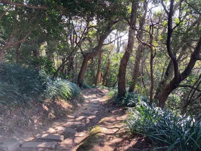 【逗子】披露山（ひろやま）公園で、ザ・湘南な絶景をどうぞ！