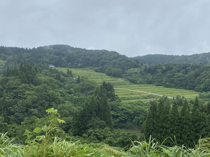 野菜や果物から始まる野菜ソムリエ的旅の組み立て方～富山への旅（初めての富山県）