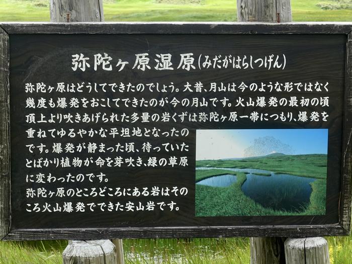 【山形】月山八合目・弥陀ヶ原湿原の歩き方