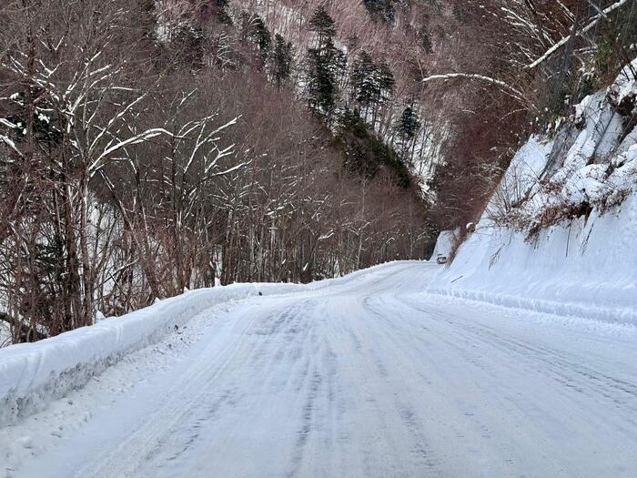 【日本百名山】15座目は美ヶ原（王ヶ頭）のパノラマコースを雪中ウォーキング（長野県）