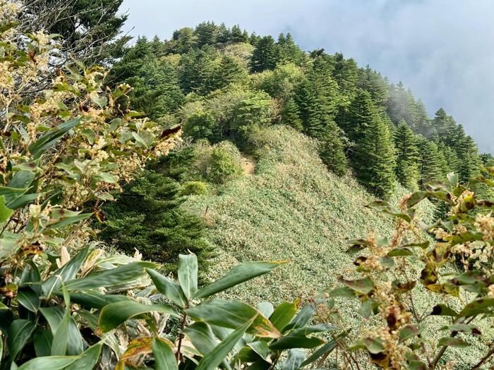 【日本百名山】19座目の石鎚山はまさに修行の山（愛媛県）