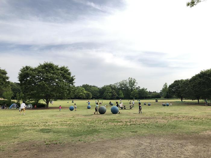 家族で楽しめる埼玉「国営武蔵丘陵森林公園」おすすめエリアもご紹介♪