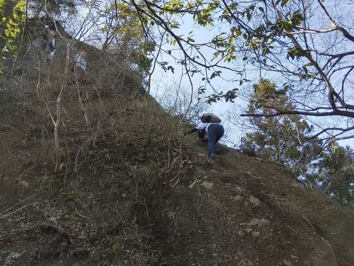 【お花見登山】桜満開のお伊勢山から岩殿山を縦走する日帰り山旅