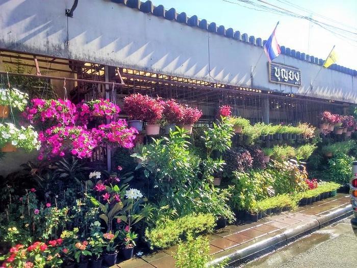 【タイランド徘徊日記】電動ボートでバンコクの運河を行く