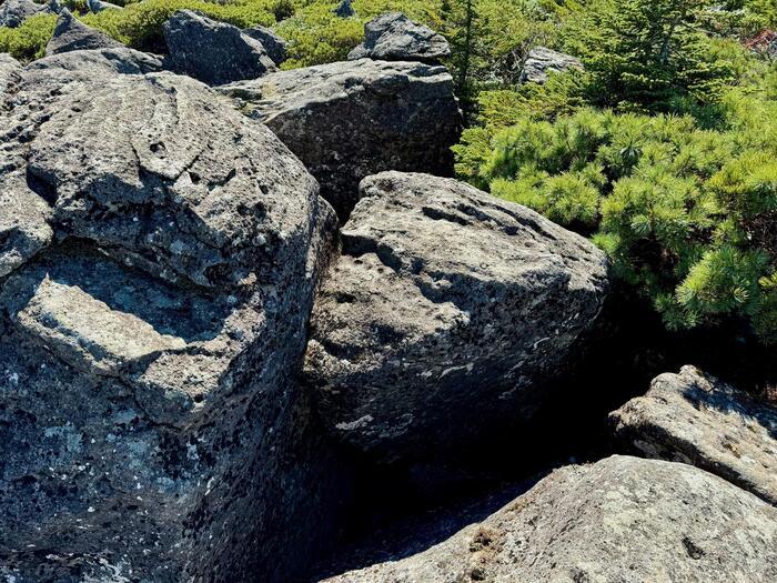 【日本百名山】22座目は西吾妻山...初級者向け？いえいえ結構大変な山でした（山形県・福島県）