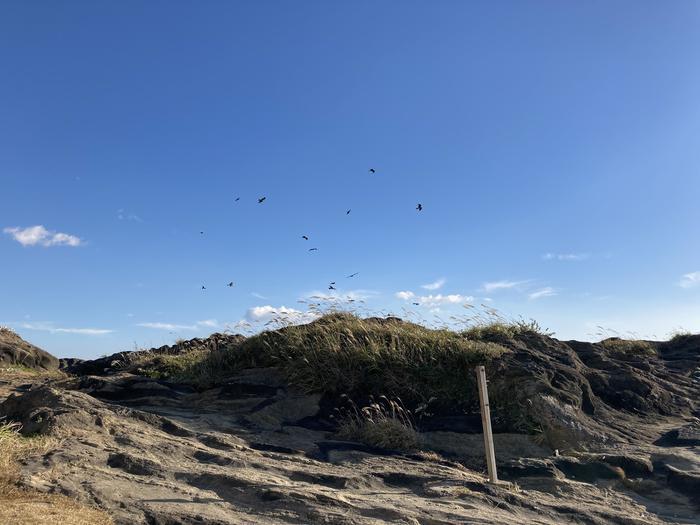 【神奈川県】三浦半島の南にある「城ケ島」は想像以上に自然を楽しめる穴場観光スポット