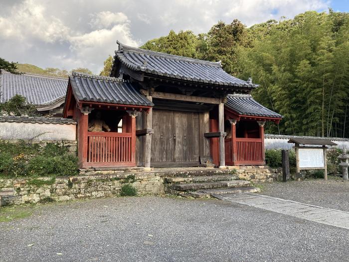 【長崎離島・対馬】教科書では教わらなかった歴史 ～その時、対馬で何が起こっていたのか～