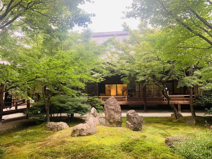 風神雷神で疫病退散!?日本最古の禅寺「建仁寺」で大迫力アートの旅!!