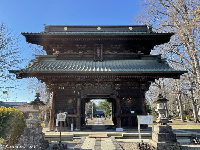 晴れの町、熊谷の国宝と桜の名所