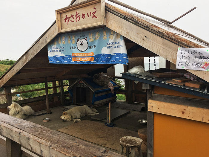 人情あふれる東北三大半島への旅