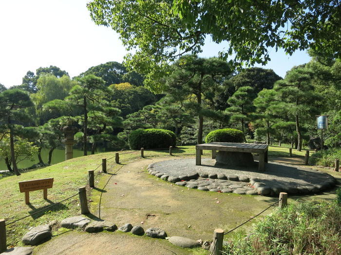 紅葉、コーヒー、深川めし......秋は清澄白河で大人の散策