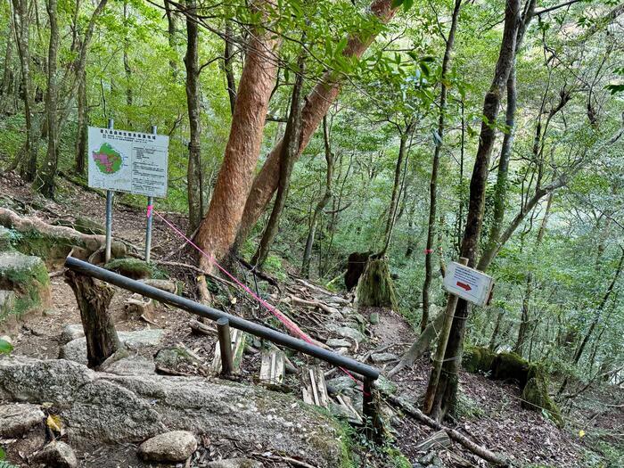 【鹿児島】屋久島の白谷雲水峡に行かれる方へ注意（2024年11月現在）