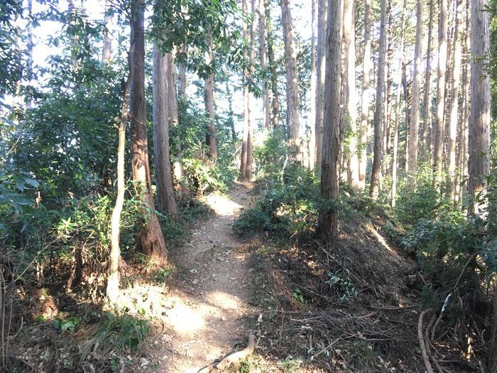 【埼玉・飯能】顔振(かあぶり)峠:義経伝説と渋沢平九郎の悲劇の舞台