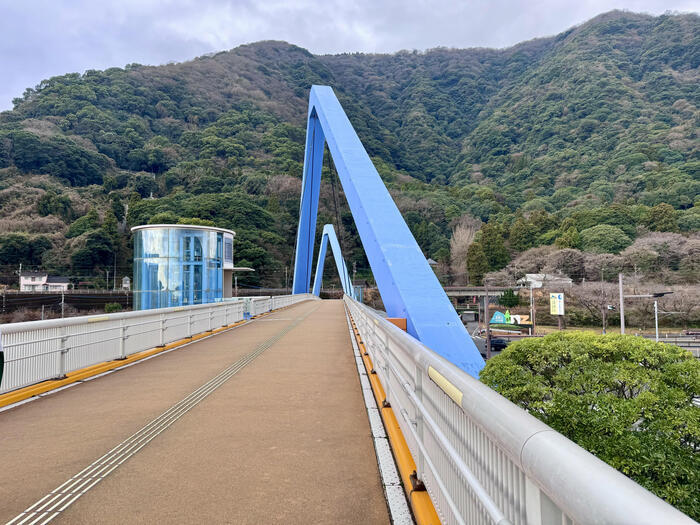 【大分】おサルさんの聖地でこんにちは！高崎山自然動物園