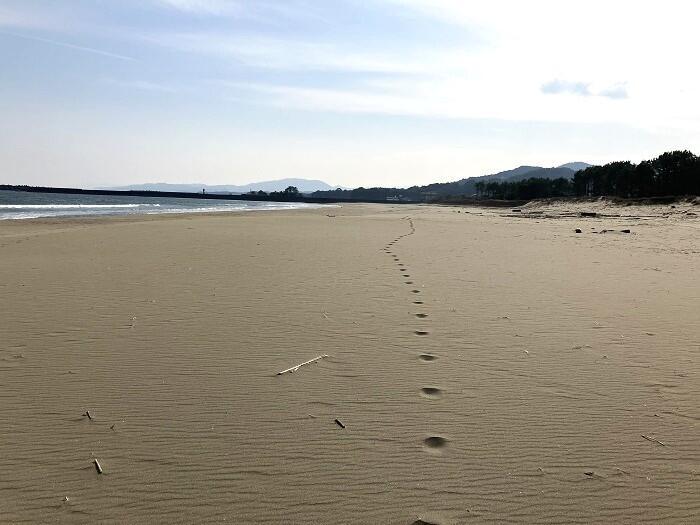 【高知県】四万十、足摺で目からウロコのSDGsを知った、そして考えた