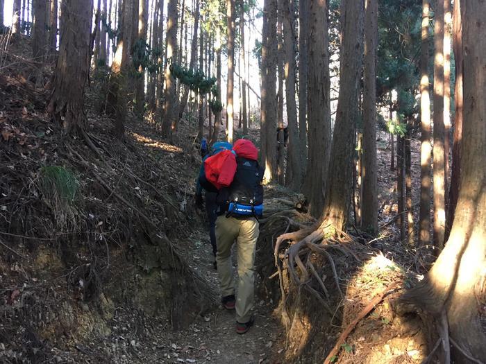 【山登り道】冬山にはなぜ魅力があるのか？＜景信山～城山～高尾山編＞