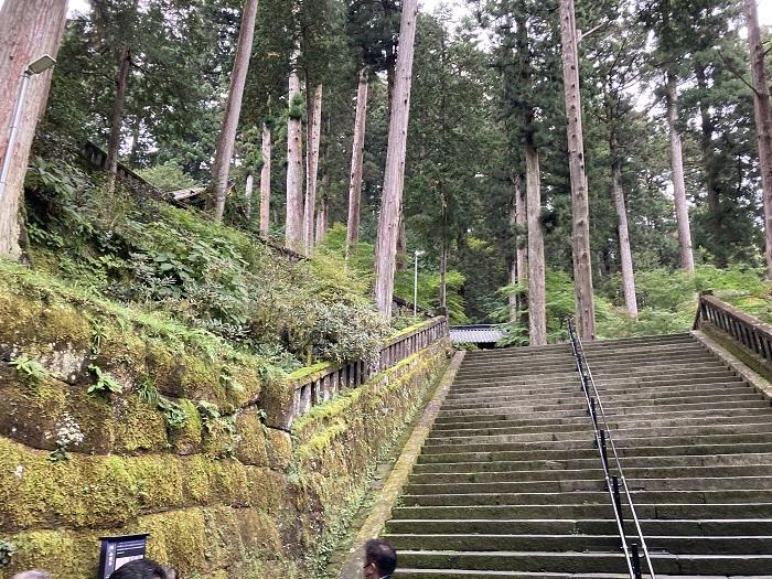 【栃木県】今、改めて「日光」の価値に気づく旅