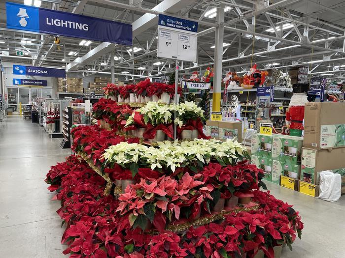 クリスマスシーズン到来！トロントでのクリスマスに向けての過ごし方