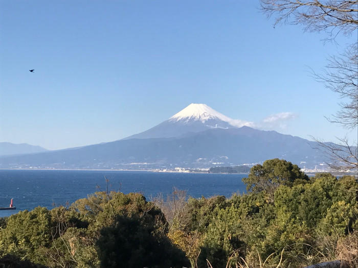 沼津はクラフトビールの宝庫！首都圏から日帰りでも楽しめる！沼津クラフトビールめぐり