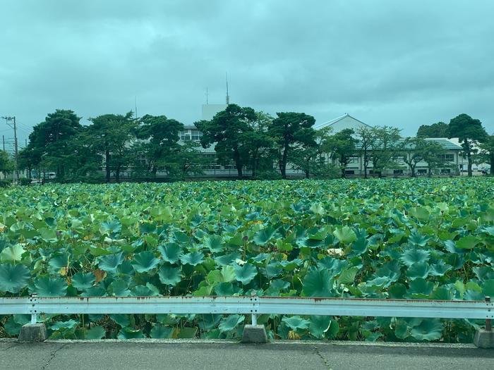 【新潟県上越市】知的好奇心とお腹を満たすおとな旅のすすめ。