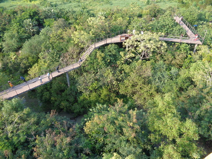 都会の中の小さな森、バンコク「METRO FOREST」