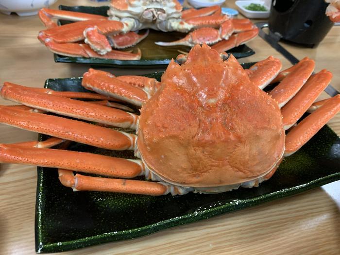 【兵庫】念願叶ってカニでまんぷく＆大満足♪「カニバスツアー」