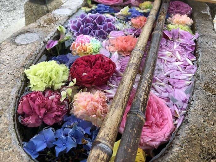 【兵庫県尼崎市】繊細で素敵な御朱印がいただける水堂須佐男神社