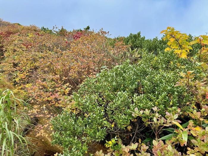 【日本百名山】20座目は紅葉の絨毯を見に安達太良山へ（福島県）